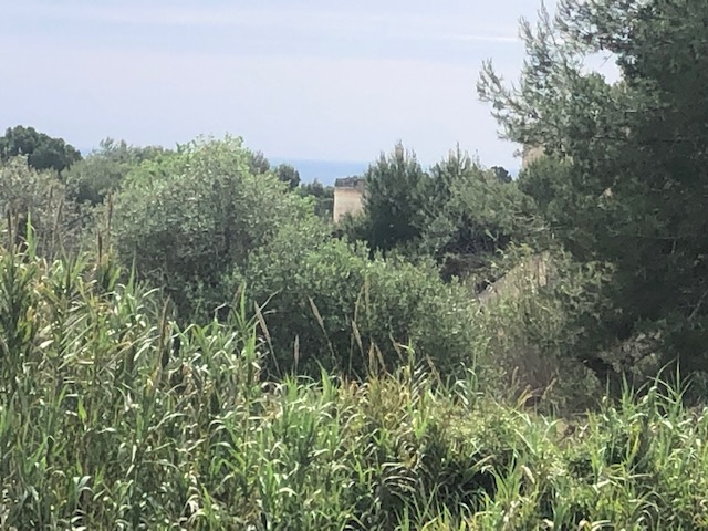 Venta Städtisches Grundstück Benissa Alicante Costa Blanca'